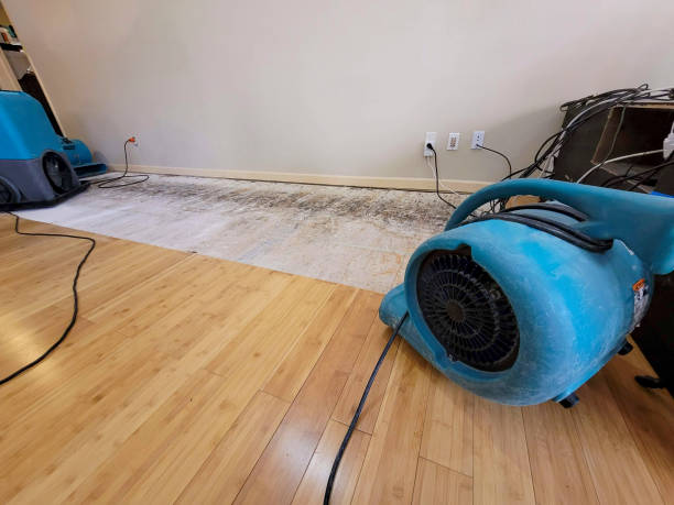Professional Sewage Cleanup technician working in Belle Glade, FL